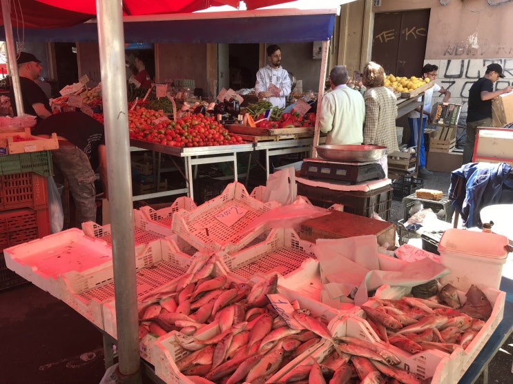  Sicily_Catania_2019 시칠리아 여행_카타니아 두번째