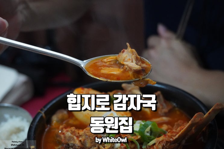  을지로 동원집 감자탕인가 감자국인가 힙지로 투어