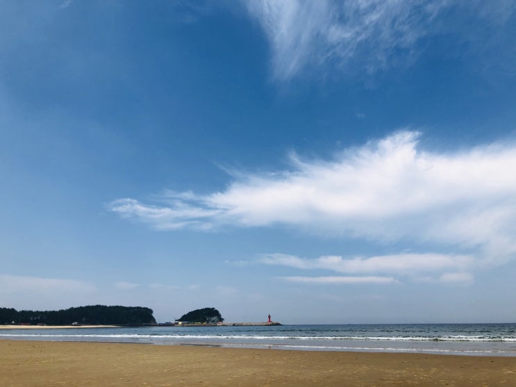  [태안 만리포해수욕장] 롱비치패밀리호텔 "2박3일 여름휴가" 2019.08.25~27