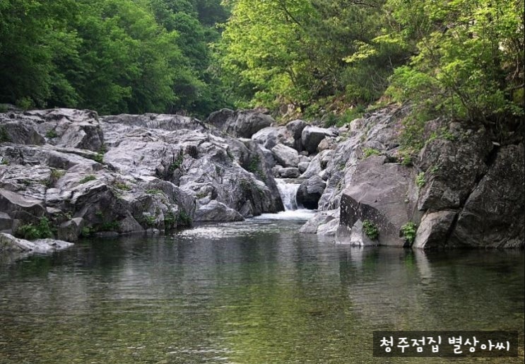  [ 청주 점집 ] 산과 관련된 꿈, 산 꿈해몽