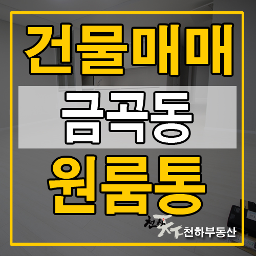  금곡동 원룸통매매 건물 있어요~