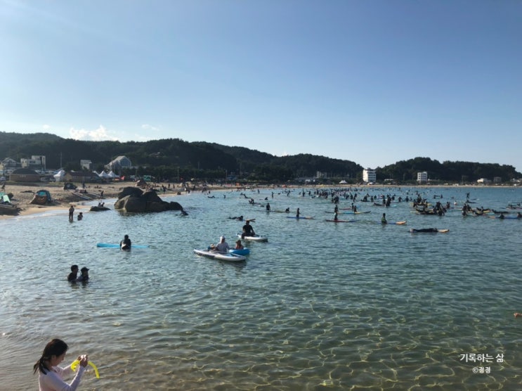  강릉여행 2박3일 [2] 양양 죽도해수욕장 카페 자그마안 / 주문진수산시장 / 강릉 엄지네포장마차