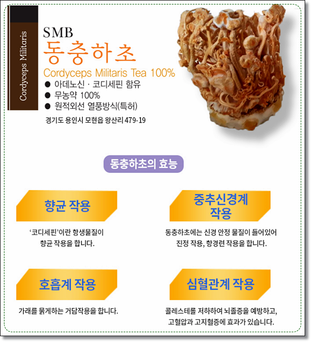 현미로 동충하초만드는법 코디세핀 효능 동충하초의 효능 2
