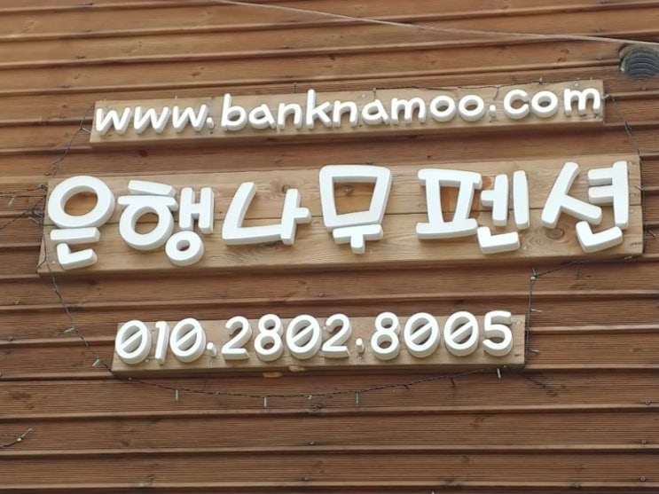  [경기도 포천시 여행] 서울근교 아이와가야할곳 포천 키즈펜션 추천 은행나무펜션 / 포천 펜션