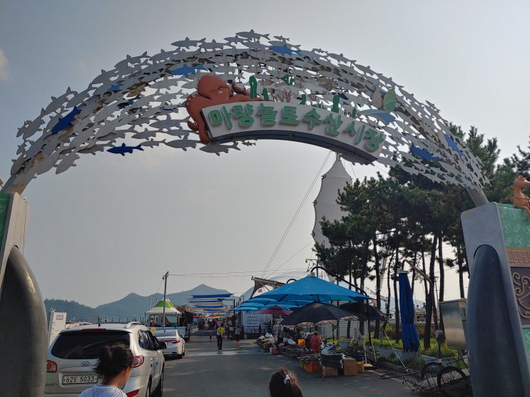  강진여행 강진마량놀토수산시장에서 신나게~~