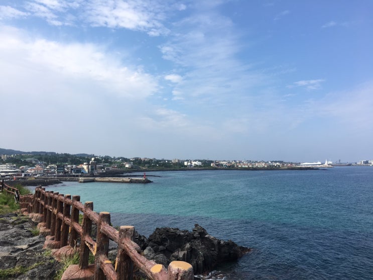 제주의 걸음(2)