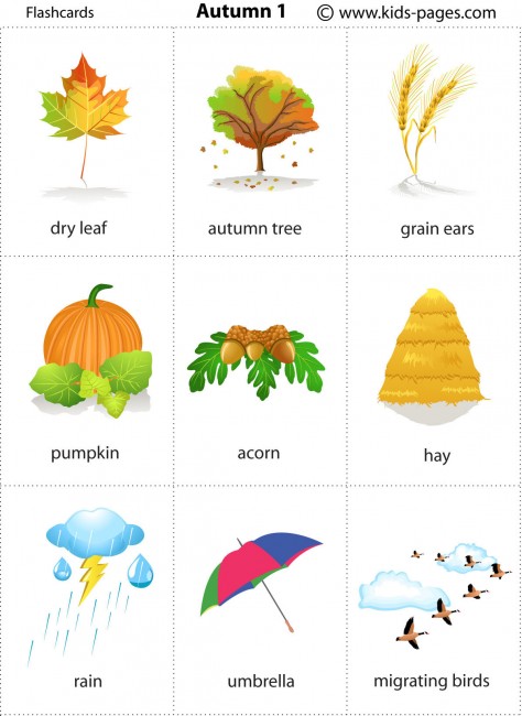  생활영어 ECE English #44 가을(Autumn) 관련 단어