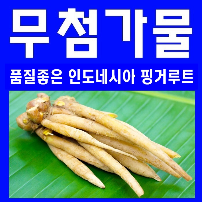  핑거루트 분말 효능과 핑크루트 가루 파는곳 추천