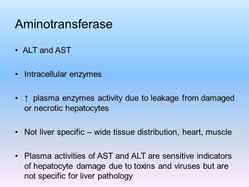 간검사 AST 와 ALT (transaminase) : 네이버 블로그