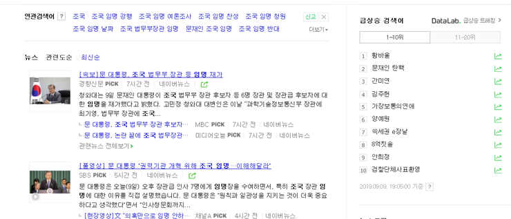  (문재인 탄핵)박근혜....꽃이 지고 나서야 봄인 줄 알았습니다