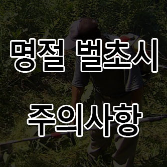  한가위 추석 명절 벌초할 때 주의하세요! 벌초시 안전사고 예방법 주의사항