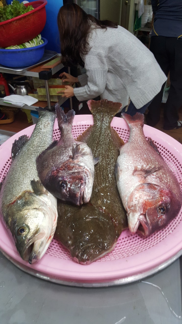  [여수맛집 미로횟집] 전국에서 가장큰 대물 자연산 횟감을 내주는 집