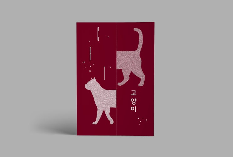  포토폴리오(35) 고양이