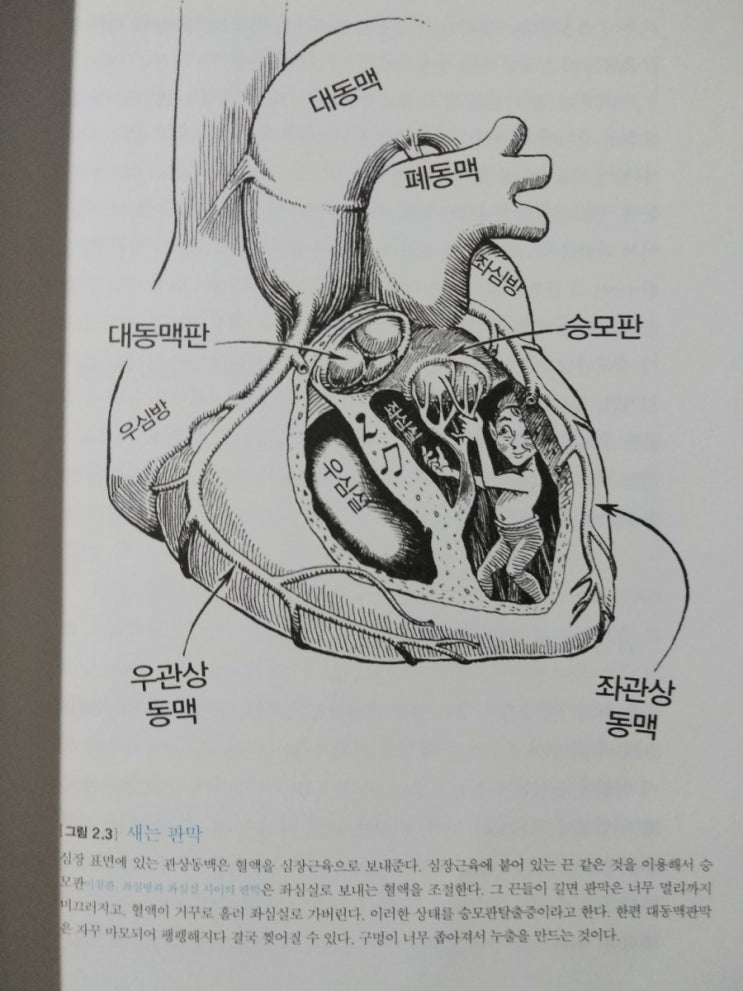  계속되는 신장 투석