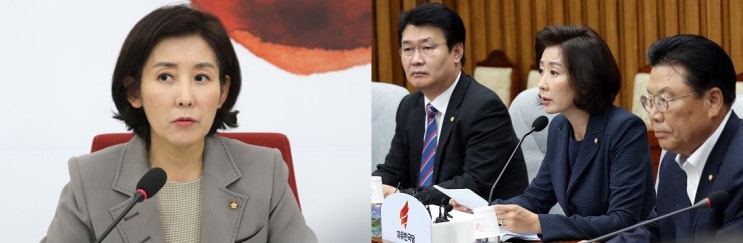  나경원 아들 논문 청탁은 사실인가?