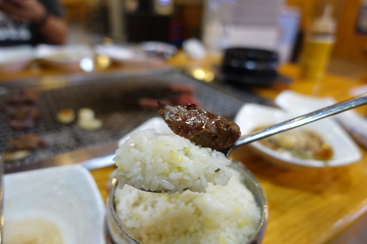  고양 장어 맛집 풍천민물장어직판장 장어미락에서 원기회복 업업