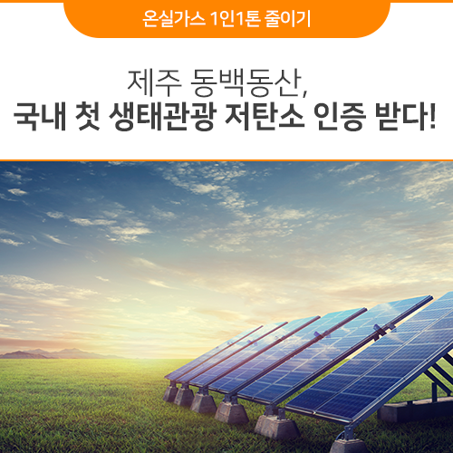  국내 첫 생태관광 저탄소 인증 받은 제주 동백동산으로 떠나요~
