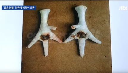 피부병 걸린 '까맣게 곪은 닭발'…전국에 버젓이 유통 피부병 걸린 '까맣게 곪은 닭발'…전국에 버젓이 유통