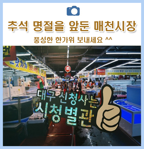 추석 명절을 앞둔 매천농수산물 도매시장, 북적이는 현장 담아봤어요!