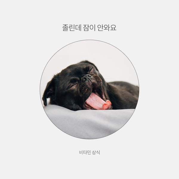  졸린데 잠이 안 와요! 어떤 비타민을 먹어야 할까요?