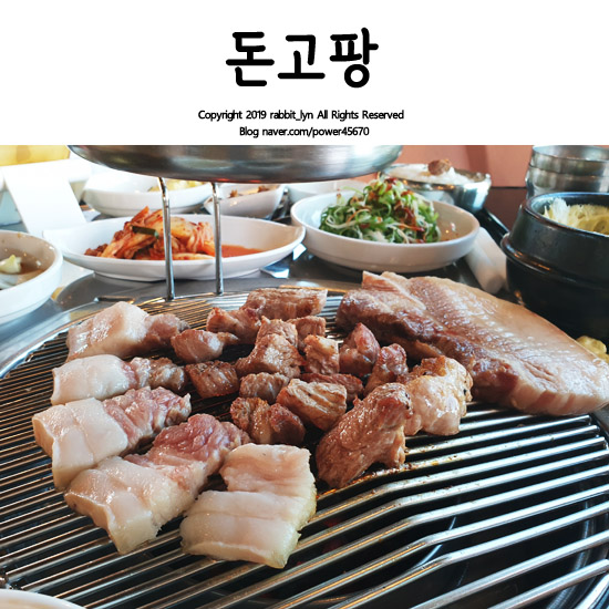  제주도 돈고팡 두툼한 흑돼지가 끝내줘요