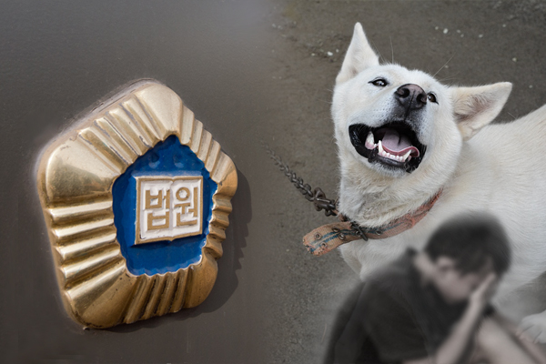 초등생, 친구 집서 진돗개에 얼굴 물려… “2억 배상” 서울중앙지법 판결 초등생, 친구 집서 진돗개에 얼굴 물려… “2억 배상” 서울중앙지법 판결