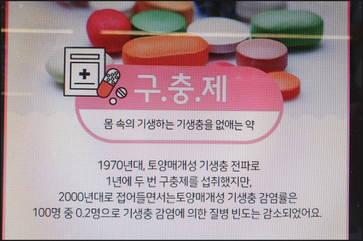  구충제 복용시기와 복용법 똑똑하게 챙기자