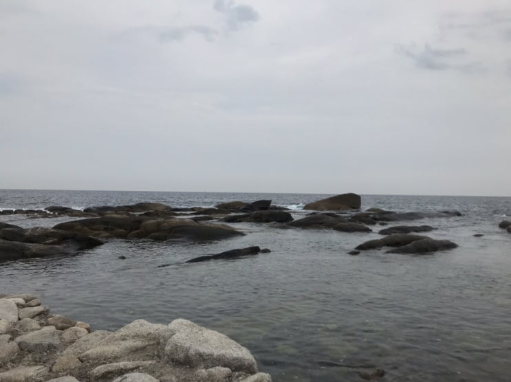  나 이제 금주