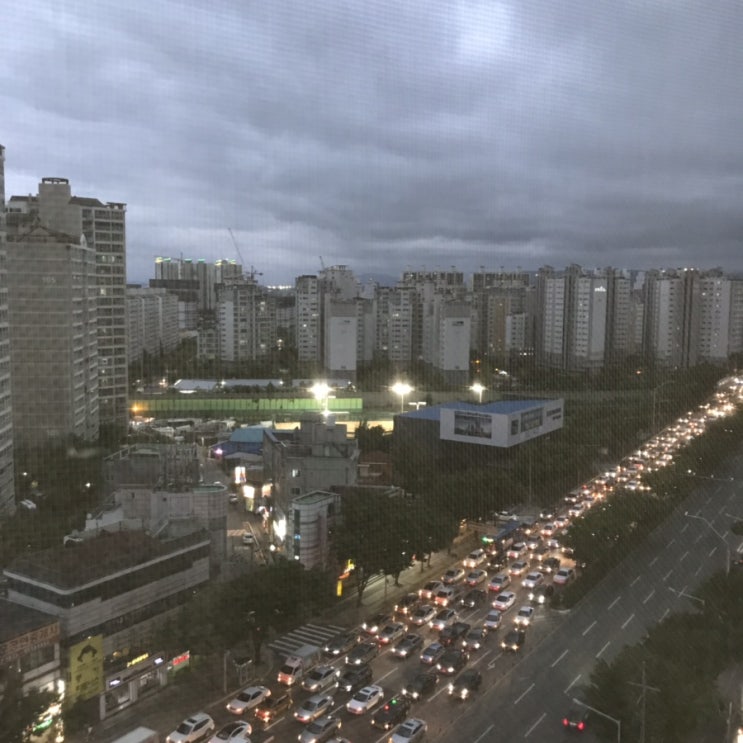  2019년 9월 둘째주 일상