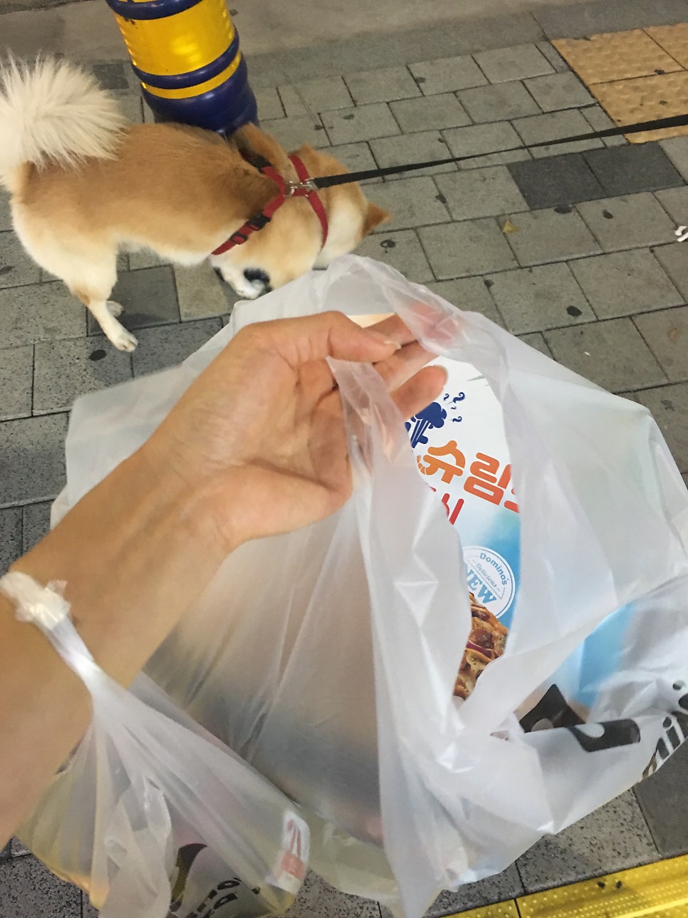 도미노피자 서수원점 사진 6