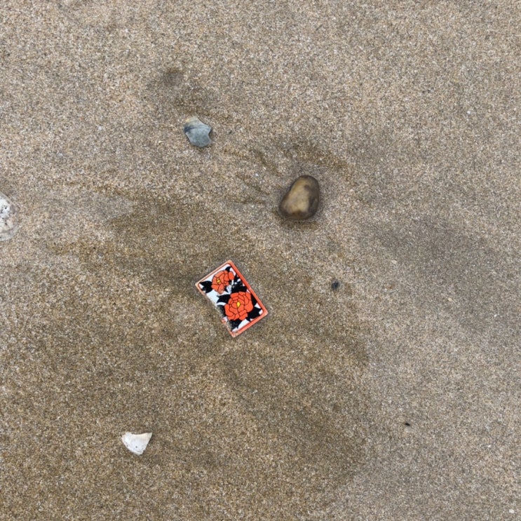  바쁜하루