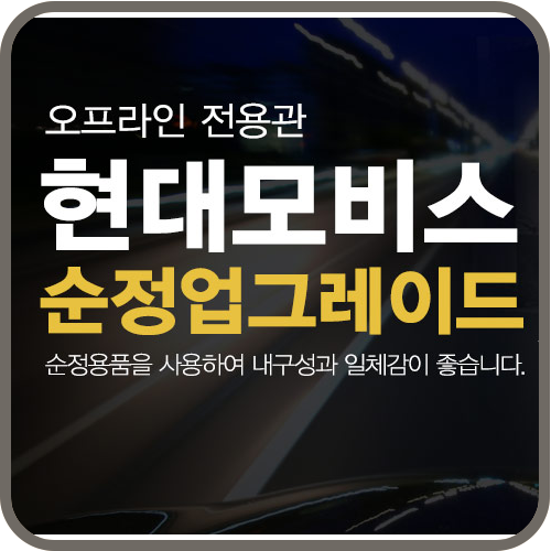  독특닷컴 오프라인 전용관 :: 현대모비스 순정 업그레이드