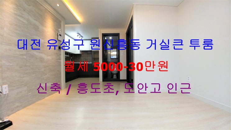  (대전 유성구 원신흥동) 흥도초, 도안고 인근에 있는 신축! 거실큰 투룸 저렴한 반전세 겸 월세 매물입니다 ^^