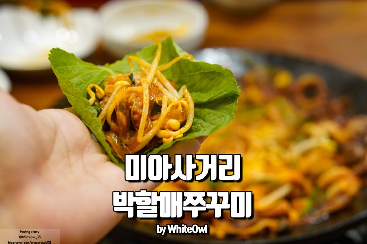  미아사거리역 맛집 박할매 쭈꾸미 쭈삼부터 볶음밥까지