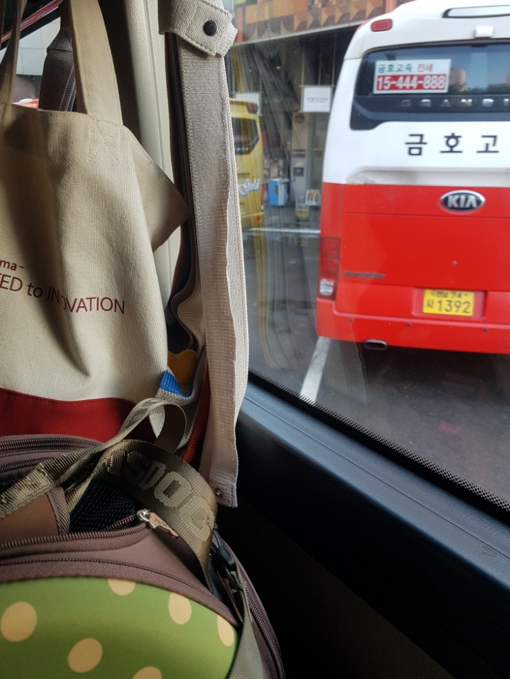  강아지와 고속버스 탑승했어요