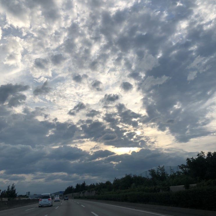  ෆ 8월 셋째주 ෆ