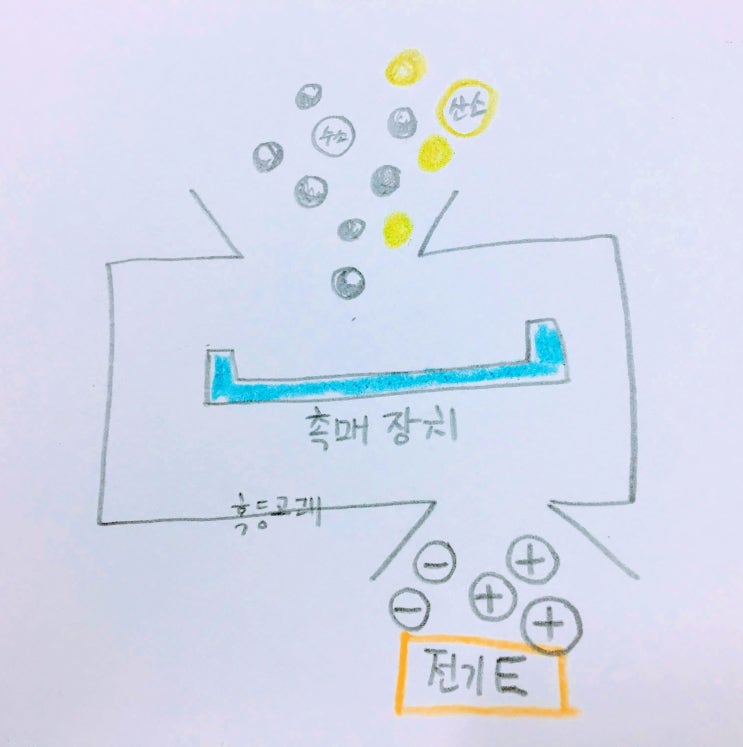  현대자동차 넥소 NEXO, 허접 프리뷰 but 수소 자동차 원리에 관한 궁금증 해소 포스팅