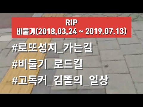  로또 잘하는집 성지순례 중 갑자기 나타난 비둘기 | 전동킥보드 라이딩