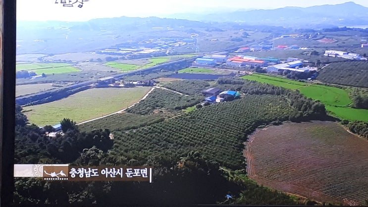  추석연휴 한국의밥상에서 본 내고향 아산시 둔포