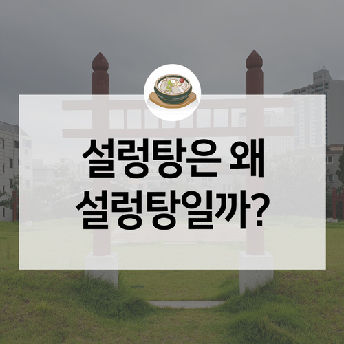 설렁탕의 유래가 궁금하다면, 서울 동대문구 선농단에 방문해보세요!