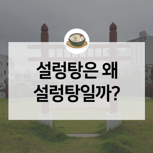  설렁탕의 유래가 궁금하다면, 서울 동대문구 선농단에 방문해보세요!