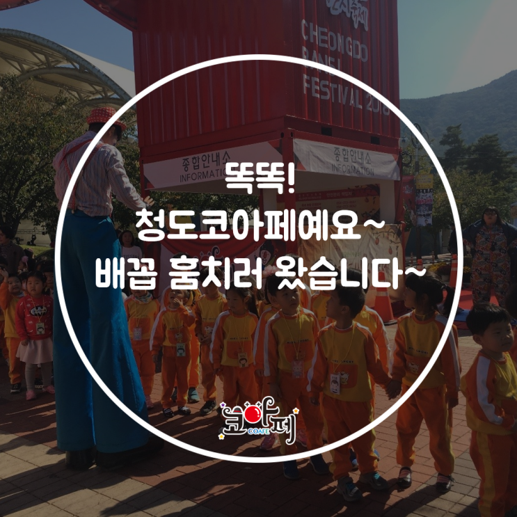  똑똑! 청도코아페예요~ 배꼽 훔치러 왔습니다~