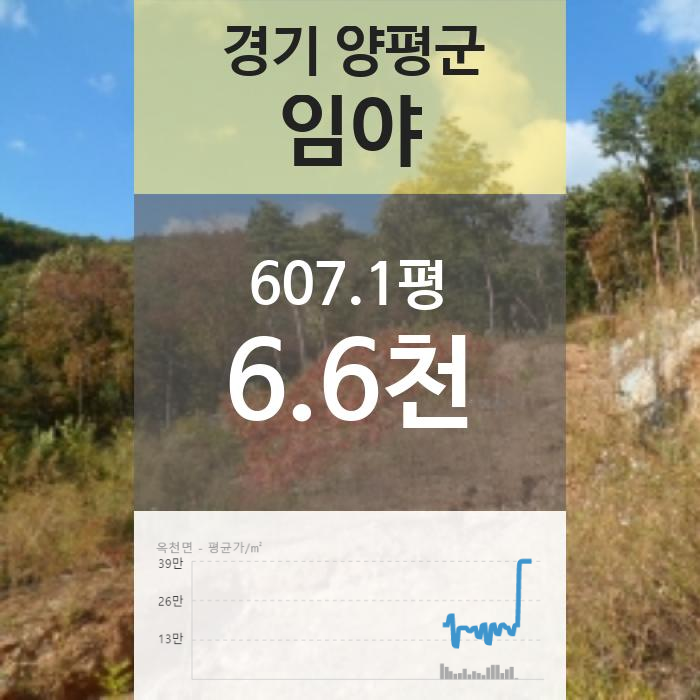  [경기 양평군 옥천면 "임야" 법원 경매] 최저가 65,531,000원 (유찰 4회)
