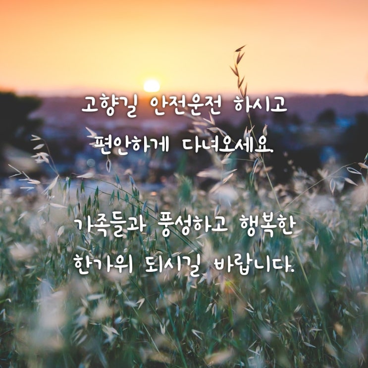  추석 인사말 모음 / 보름달 / 고속도로면제 /추석음식 칼로리!!