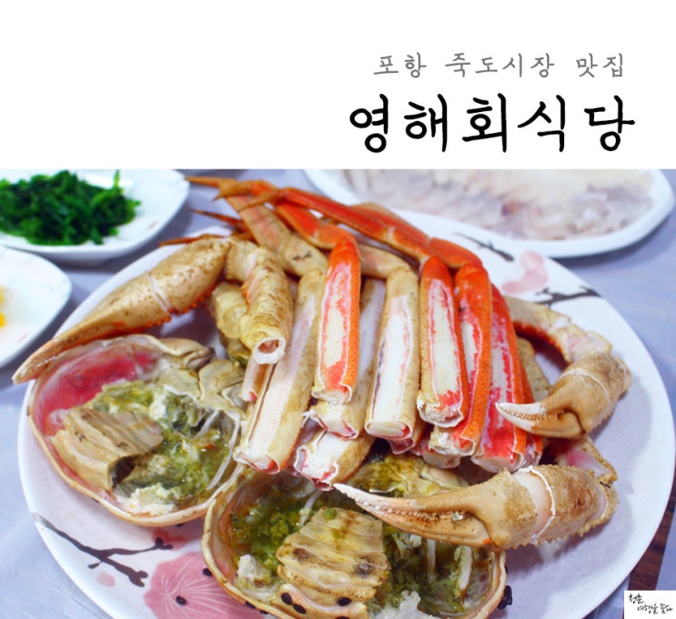  포항 맛집 죽도시장 잘나가는 곳