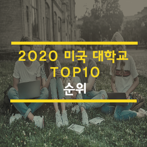  프린스턴리뷰가 알려주는 2020 미국 National Universities Ranking Top 10!