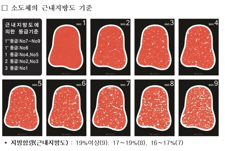  소고기 등급 개정 마블링 함량 함께 표시 및 미국산소고기 등급기준