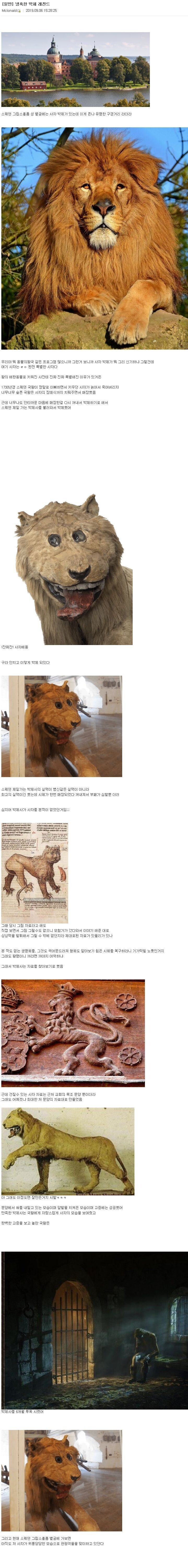 상상의 동물 사자