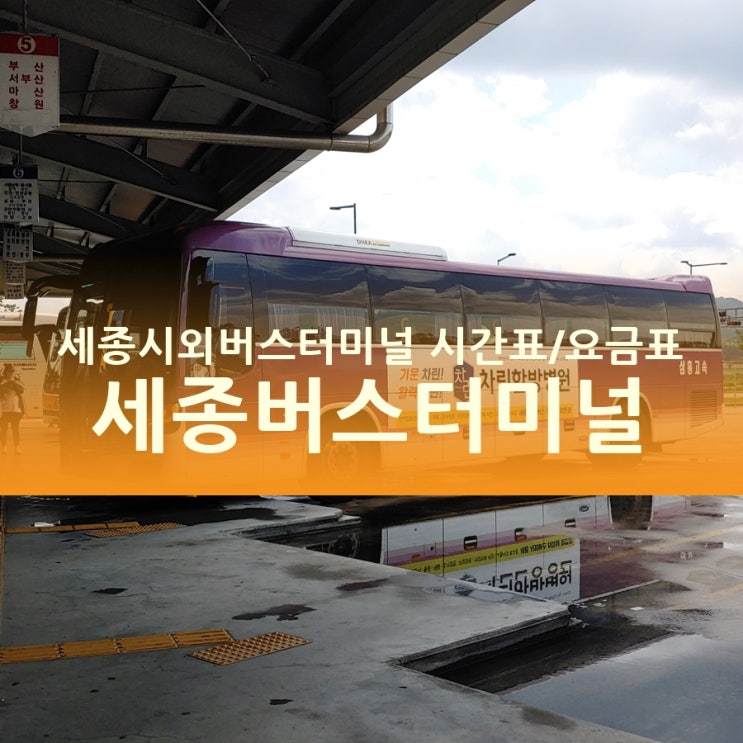  세종시외버스/고속버스터미널 시간표/요금표, 귀성해?