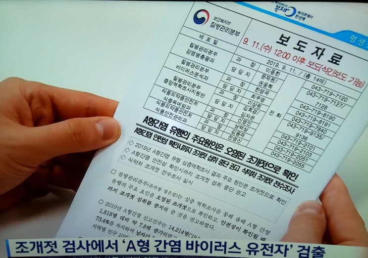  조개젓 "A형 간염" 원인으로 밝혀져!